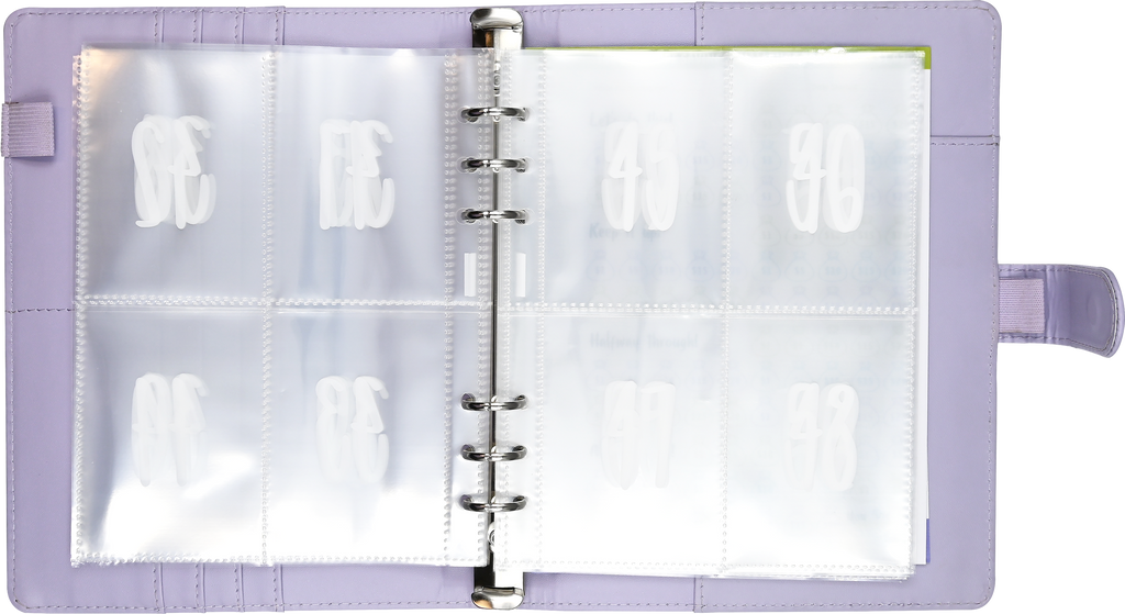 My 100 Envelope Savings Challenge Binder